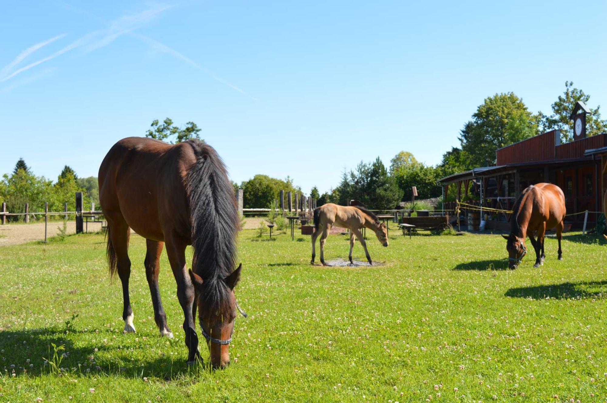 Bubla City Ranch Koprivnice Exterior photo